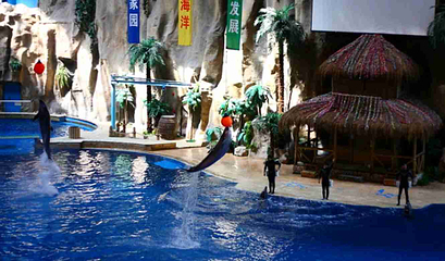 北京海洋馆第 92 张图片