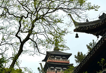 大明寺第 80 张图片