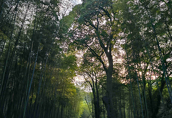 西湖风景名胜区第 355 张图片