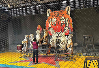 华欣野生动物园第 5 张图片