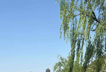 玄武湖景区第 66 张图片