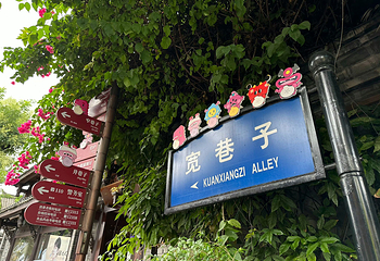 宽窄巷子第 46 张图片