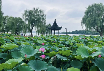 石湖景区第 64 张图片
