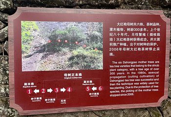 武夷山国家公园第 64 张图片