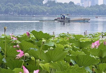 西湖风景名胜区第 224 张图片