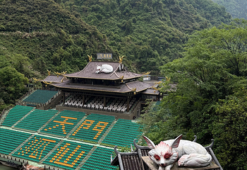 天门山国家森林公园第 338 张图片