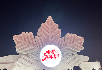 哈尔滨冰雪大世界第 349 张图片