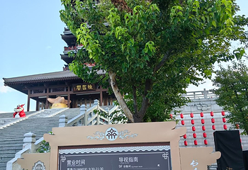 海岱楼第 8 张图片