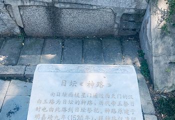 日坛公园第 92 张图片