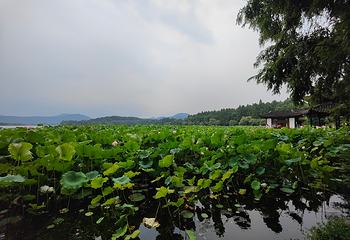 西湖风景名胜区第 228 张图片