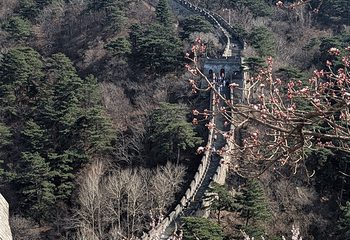 慕田峪长城第 544 张图片