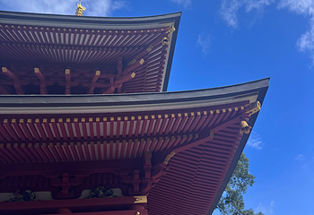 胜尾寺第 64 张图片