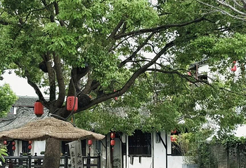 新场古镇第 28 张图片