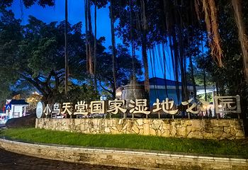 小鸟天堂第 15 张图片