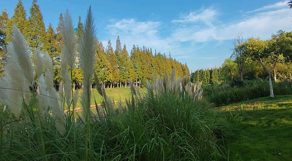 七浦塘生态公园