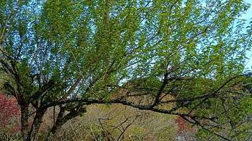 梅花山华南虎园生态旅游景区