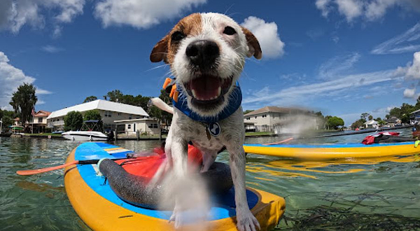 Hunter Springs Kayaks