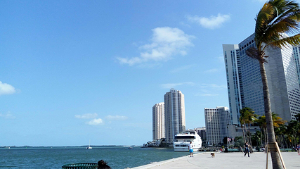 海湾公园第 16 张图片