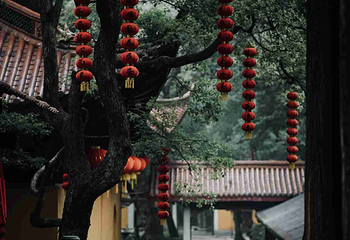 灵隐飞来峰景区第 26 张图片
