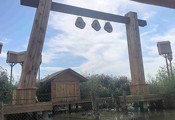 银川鸣翠湖国家湿地公园第 11 张图片