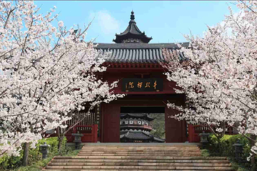 牛首山文化旅游区第 328 张图片
