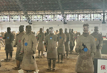 秦始皇帝陵博物院(兵马俑)第 489 张图片