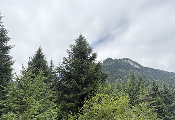 九寨沟风景区第 378 张图片