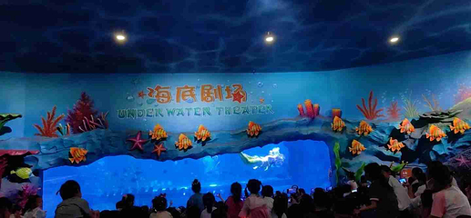 曲江海洋极地公园第 60 张图片
