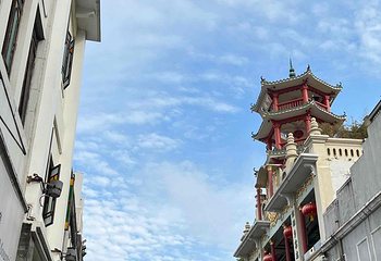 陶陶居酒家(第十甫路总店)第 59 张图片