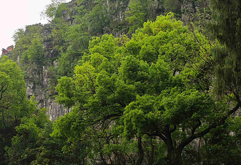 独秀峰王城景区第 156 张图片