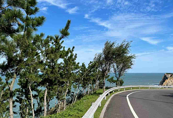 威海环海路观光巴士第 17 张图片