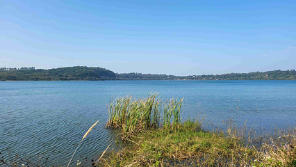 湖光岩风景区第 37 张图片