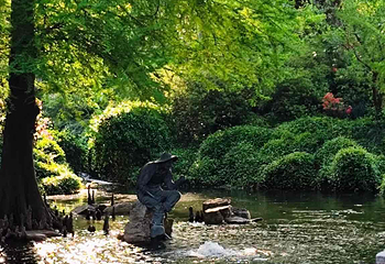 上海植物园第 56 张图片