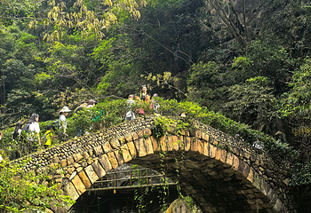 天台山大瀑布第 81 张图片