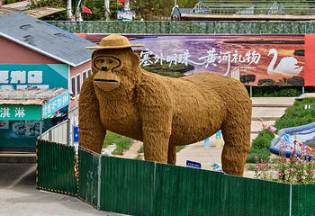 乌梁素海景区第 7 张图片
