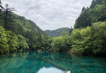 九寨沟风景区第 558 张图片