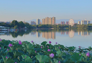 西安世博园第 112 张图片