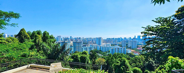 花柏山公园第 32 张图片