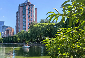 团结湖公园第 66 张图片
