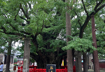 浮来山风景区第 34 张图片