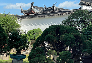 拙政园第 225 张图片