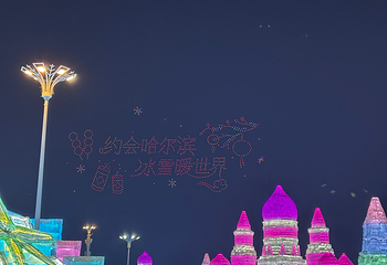 哈尔滨冰雪大世界第 787 张图片
