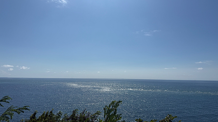 老铁山黄渤海分界线第 46 张图片