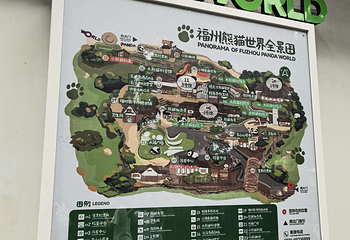 福州熊猫世界第 13 张图片
