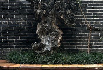 余荫山房第 78 张图片