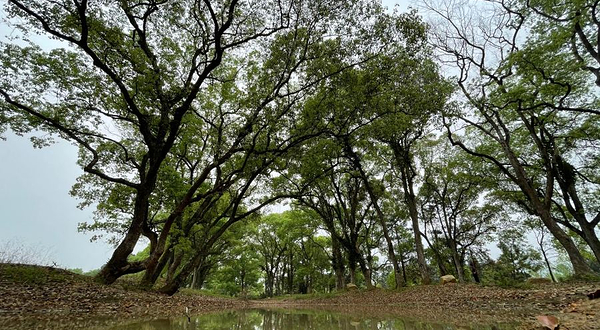 永新县黄陂景区