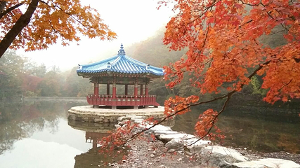 内藏山国立公园第 8 张图片