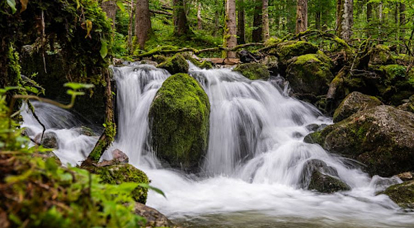 Obersee und Röthbachfall
