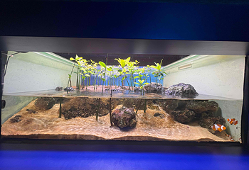 上海海昌海洋公园第 345 张图片