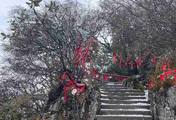金佛山北坡景区第 65 张图片